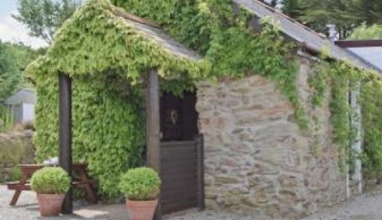 Babes Cottage - 27592, Perranporth, Cornwall