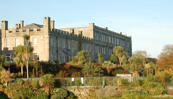 Tregenna Castle Gardens, Cornwall