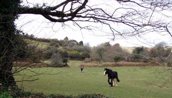 Nancledra, Cornwall